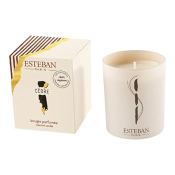 Kitchen MagLite ML3 Two AA Cell Black Flashlight Light Book