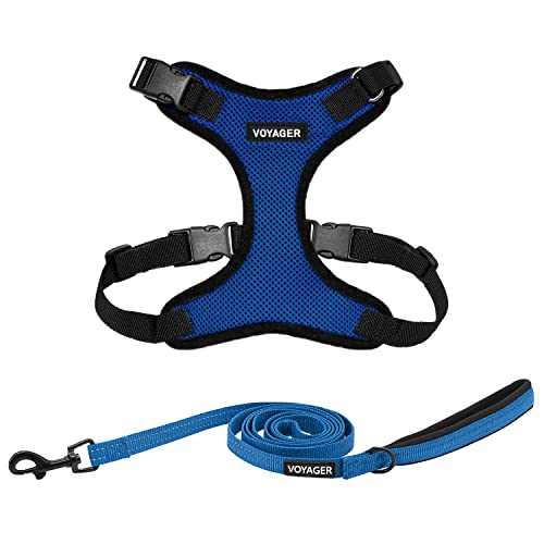 Image of Best Pet Supplies Voyager Step-in Lock Pet Harness w Reflective Pet Leash Combo Set with Neoprene Handle 5ft - Supports Small, Medium and Large Breed Puppies /Cats - Royal Blue /Black Trim, XS
