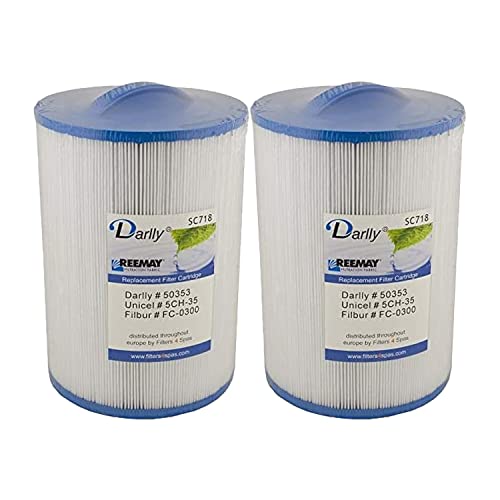Darlly Filtro per vasca idromassaggio SC718 50353 compatibile con Pleatco PMAX50P4 FC-0300 Unicel 5CH-35, confezione da 2