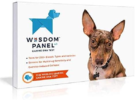 Mars Veterinary Wisdom Panel Dog DNA Test Kit - Canine Breed Identification and Ancestry Information