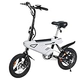 VDL E Bike Klapprad 14 Zoll Faltbar – Elektrofahrrad Herren & Damen mit 36V 5,2Ah Akku, 250W Motor bis 25 km/h, Faltbares Ebike Citybike mit Doppelscheibenbremse, LED Licht