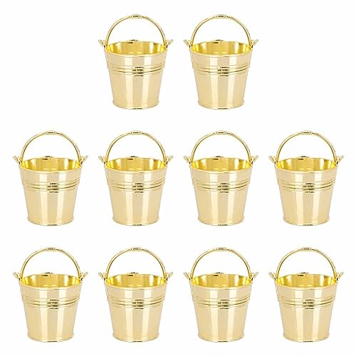 Miniature Metal Buckets 10Pcs Mini Metal Buckets Portable Party Snack Bucket Packing Box Wedding Candy Storage Buckets Small Pails with Handles Flower Bucket