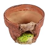 Pots de fleurs mignons - un excellent choix pour les amis qui aiment les plantes, vase à fleurs