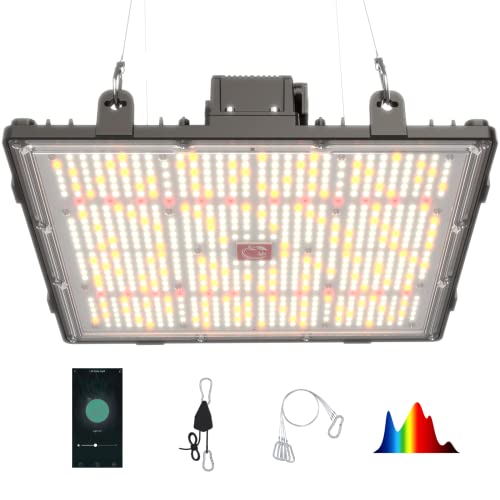 Best LED light for 4x4 Grow Tent In 2021 (Keep Harvest Crazily)