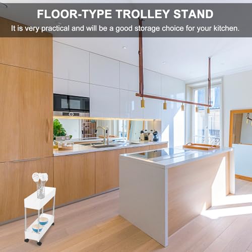 DOITOOL Werkzeugwagen mit 2 Etagen Kunststoff Küchenwagen mit Rädern Badwagen Aufbewahrung Tür Gemüse Weiß