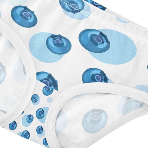 Blueberry Toddler Girls's Underwear 2T 202c17434