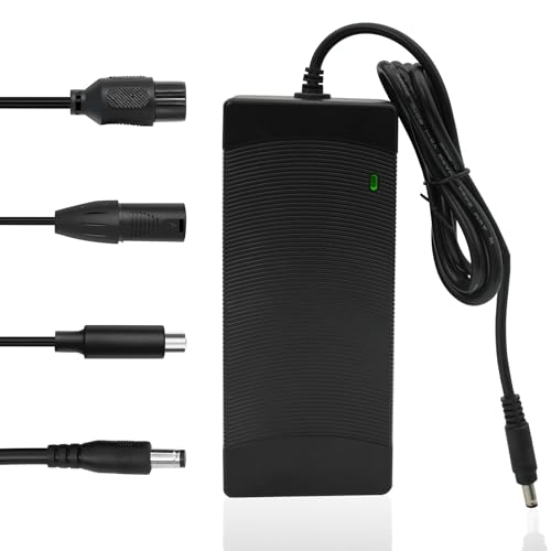 48V Ebike Fast Charger 54.6V 2A