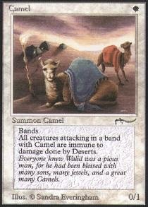 Amazon.com: Magic: the Gathering - Camel - Arabian Nights : Toys