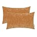 HWY 50 Dekorative Lendenwirbelkissen-Bezüge-Set, für Couch, Sofa, Wohnzimmer, Bett, 30,5 x 50,8 cm, weiches und bequemes Kaschmir, solide Dekoration, rechteckiger Kissenbezug, 2 Stück, bernsteinfarben