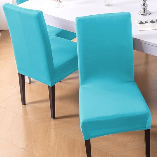 Image of HOKIPO 'SereneSolids' Stretchable 140 GSM Dining Chair Cover, Fully Covered - Set of 1, Sky Blue (AR-6246-SBL)