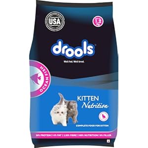 Drools Kitten Dry Cat Food, Ocean Fish Flavour 1.2Kg With Free Container Pack