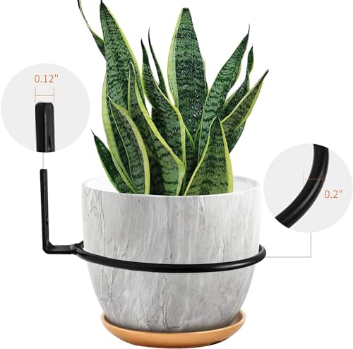 TORO Plant Holder Ring 8 Inch Wall Mounted, Flower Pot Hangers Metal Plant Stand Hanging Bracket Basket Hooks (Pack 06) (Black)