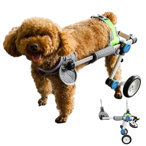 Foldable Dog Wheelchair for Small/Medium Pets, Adjustable Mobility Aid for Arthritis & Injury Recovery, Supportive Rehab Wheelchair for Dogs, Hip & Leg Assistance