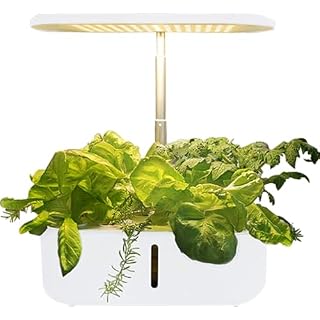 Holzsammlung potager hydroponique 10 pods LED 24 W