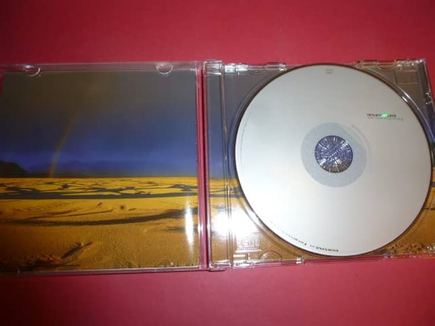 Amazon.co.jp: 222/CD/The Seeker DOWSING 廃盤 ザシーカー 浅倉