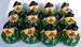 One Dozen (12) US Army Rubber Ducky Party Favors