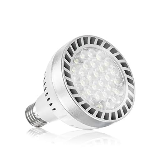 Broadroad LED Pool Light Bulb 120V 65W Daylight White 6000K Swimming Pool 6000LM Pool Light Bulb Replacement for Most Pentair Hayward Light Fixtures (Pool 65W)