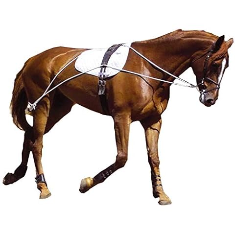 Hunters Saddlery Ultimate Horse Lunging Training Aid System Lunge Equipment (Small Pony, Black) Cover