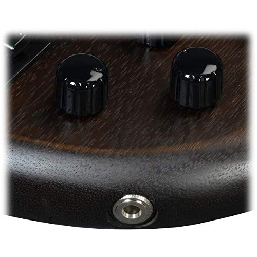 Ibanez Gsr, 6-String Bass Guitar, Right, Walnut Flat (Gsr206Bwnf) #TOP2