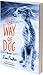 The Way of Dog