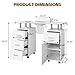 Mochalight Manicure Table with Storage Drawers for Nail Tech, Nail Desk with Dust Collector, Hand Rest/Wrist Cushionand Lockable Wheels for Makeup Beauty Salon, Spa Workstation