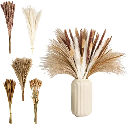 Decoração de grama seca dos pampas | Vários buquês de flores secas - Flores secas fofas para decoraç