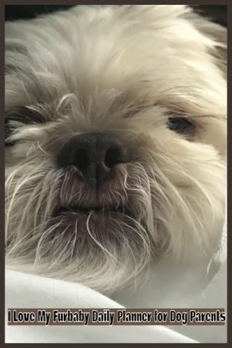 The 10 Best dog noses -Buying Guide