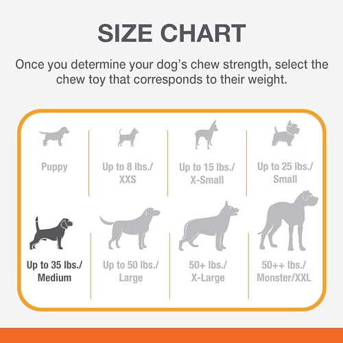 Image of Nylabone Power Chew Original Bone Dog Chew Toys, Medium, 2 Count (Pack of 3)