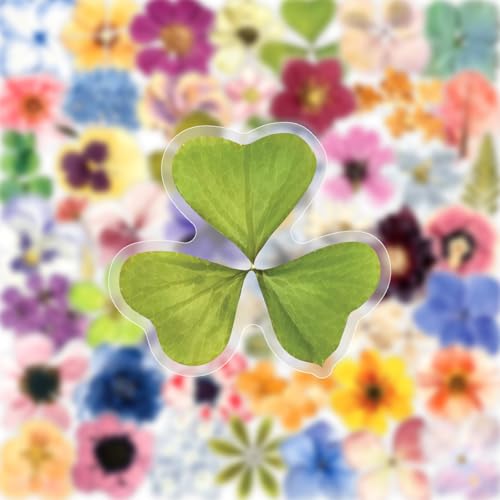 Image of 50PCS Transparent Flora Scrapbook Stickers, Flower-E | Vintage Aesthetic Flowers, Vinyl Waterproof, For Scrapbooks Travel Journal, For Water Bottles Laptop Phone