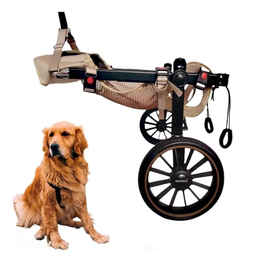 WSPWFQ Dog Wheelchair - Adjustable for Large Breeds (L/XL/XXL), One - Click Wear, Breathable Mesh & Open Crotch, Dual - Bearing Wheels(L)