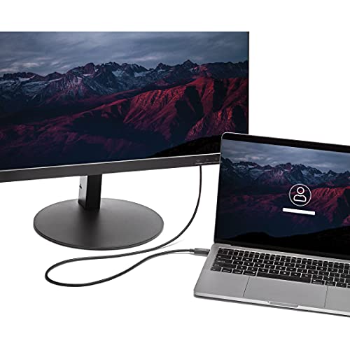 Câble USB C vers VGA 2m StarTech.com adaptateur actif d'écran pour ordinateur portable - 6