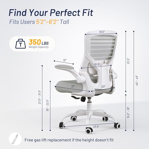 Image of Office Chair for Long Hours & Back Pain Relief - 4 inch Molded Foam Cushion, Padded Lumbar Support, and Padded Flip-up Armrests, Ideal for Office or Study, Light Gray