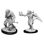 Dungeons & Dragons Nolzur's Marvelous Unpainted Miniatures (W11) Male Dragonborn Paladin