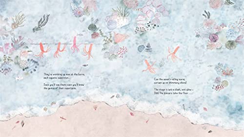 The Crab Ballet: A Picture Book