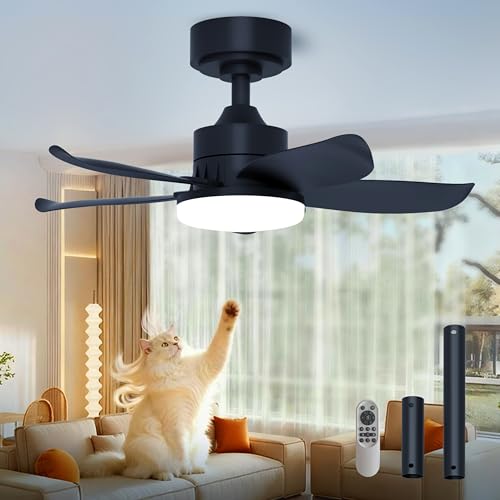LANMEL 25 Inch Black Ceiling Fan with Light and Remote, Modern Ceiling Fan, 6 Speed, Reversible, 3000k-6500k Dimmable LED, Quiet DC Motor for Indoor Outdoor