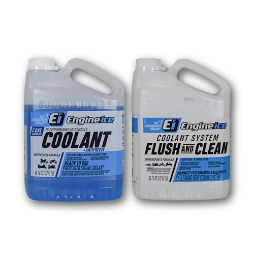 Engine Ice Flush and Clean and Motorcycle Combo Kit, 2 Pack, Purple