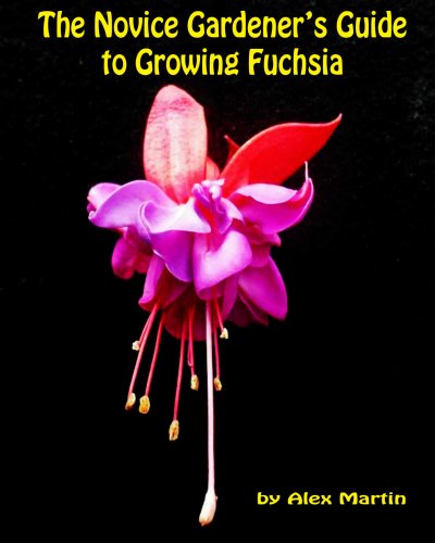 The Novice Gardener's Guide to Growing Fuchsia