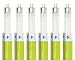 Triangle Bulbs T30023-6 (6 pack) - F8T5/CW, 8 Watt, T5, 4100K Cool White, 12" Straight Fluorescent Tube Light Bulb, 6 Pack