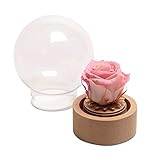 ROSEMARIE SCHULZ Heidelberg