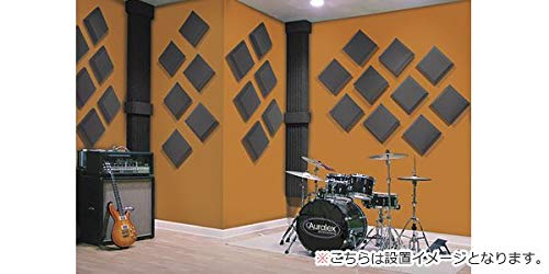 Amazon | AURALEX (オーラレックス) 吸音材 SonoFlat 2″ 14枚 30cm x
