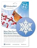 WINDOWALERT