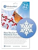 WindowAlert, Inc BS-WINDA7