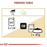 ROYAL CANIN Maine Coon Adult | Doppelpack | 2 x 12 x 85 g | Nassfutter speziell auf die Bedürfnisse von Maine Coon Katzen abgestimmt | In Soße