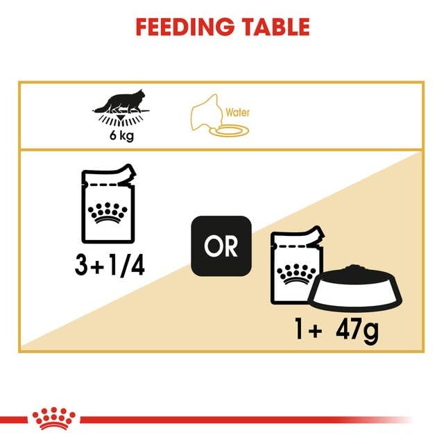 ROYAL CANIN Maine Coon Adult | Doppelpack | 2 x 12 x 85 g | Nassfutter speziell auf die Bedürfnisse von Maine Coon Katzen abgestimmt | In Soße