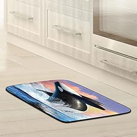 Door Mat Durable Absorbent Door Mats Indoor Sea Whale Welcome Mats Outdoor Doormats Non-Slip Entryway Rug for Home… 41SDHO00LiL. SS280