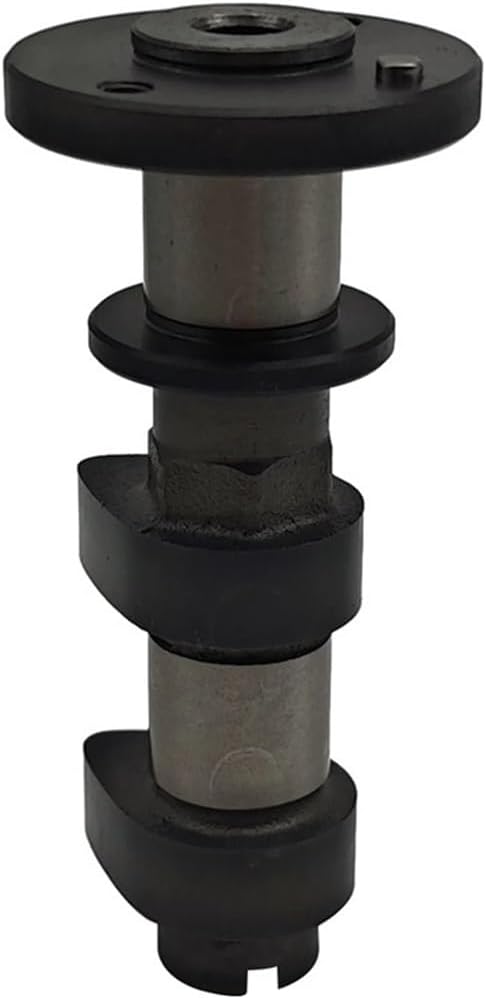 Intake Camshaft Assembly Compatible With AT6 AT5 ATV UTV F01A40110001 F01A40110003