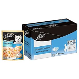Cesar Adult Wet Dog Food, Sasami with Whitefish & Vegetables in Jelly, 70gm, Pack of 16