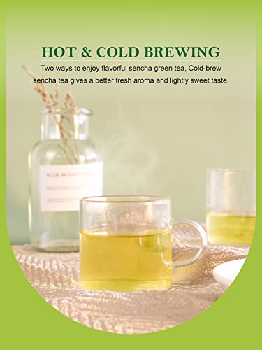 Image of TeeLux Sencha Green Tea, Shade Grown Gyokuro Green Tea Loose Leaf, Steamed Tea, Smooth & Refreshing Taste, 114g /4oz