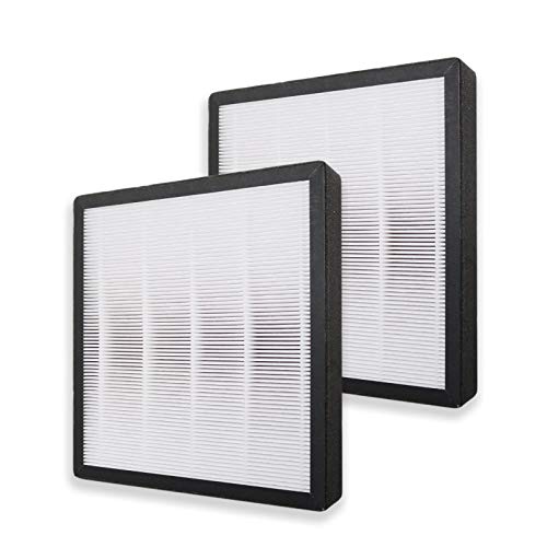 Filtres HEPA PUREBURG pour purificateur NASH AP-1 PureSmart x2