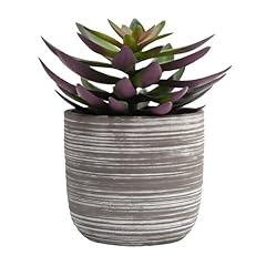 Realistic Succulent in Gray Cement Pot